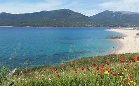 Studio T1 bis vue mer Propriano