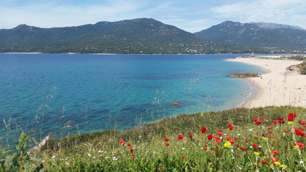 Studio T1 bis vue mer Propriano Propriano  Esterno foto